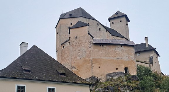 20251008_084838.jpg