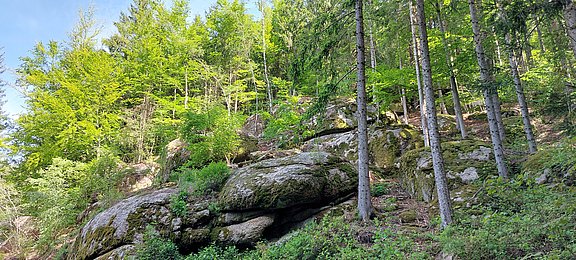 20250514_100305.jpg