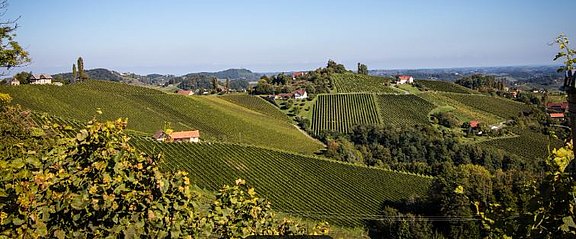 2025_09_Steirische_Toskana.JPG  