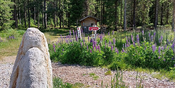 20250626_105838.jpg