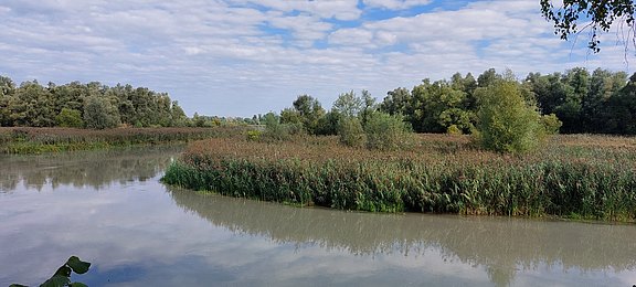 20250822_093513.jpg