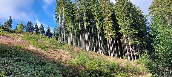 20250911_103939.jpg
